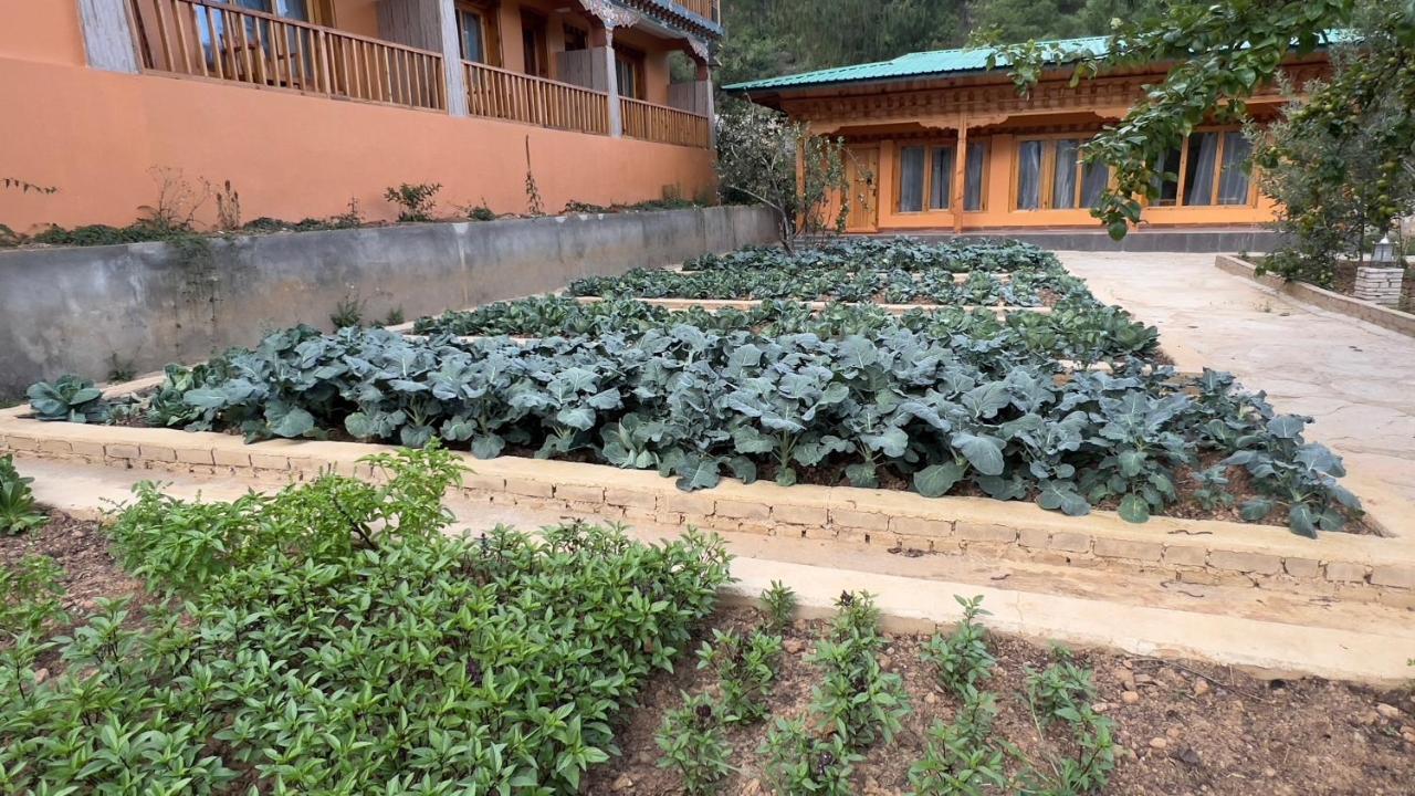 Rema Resort Paro Exterior photo